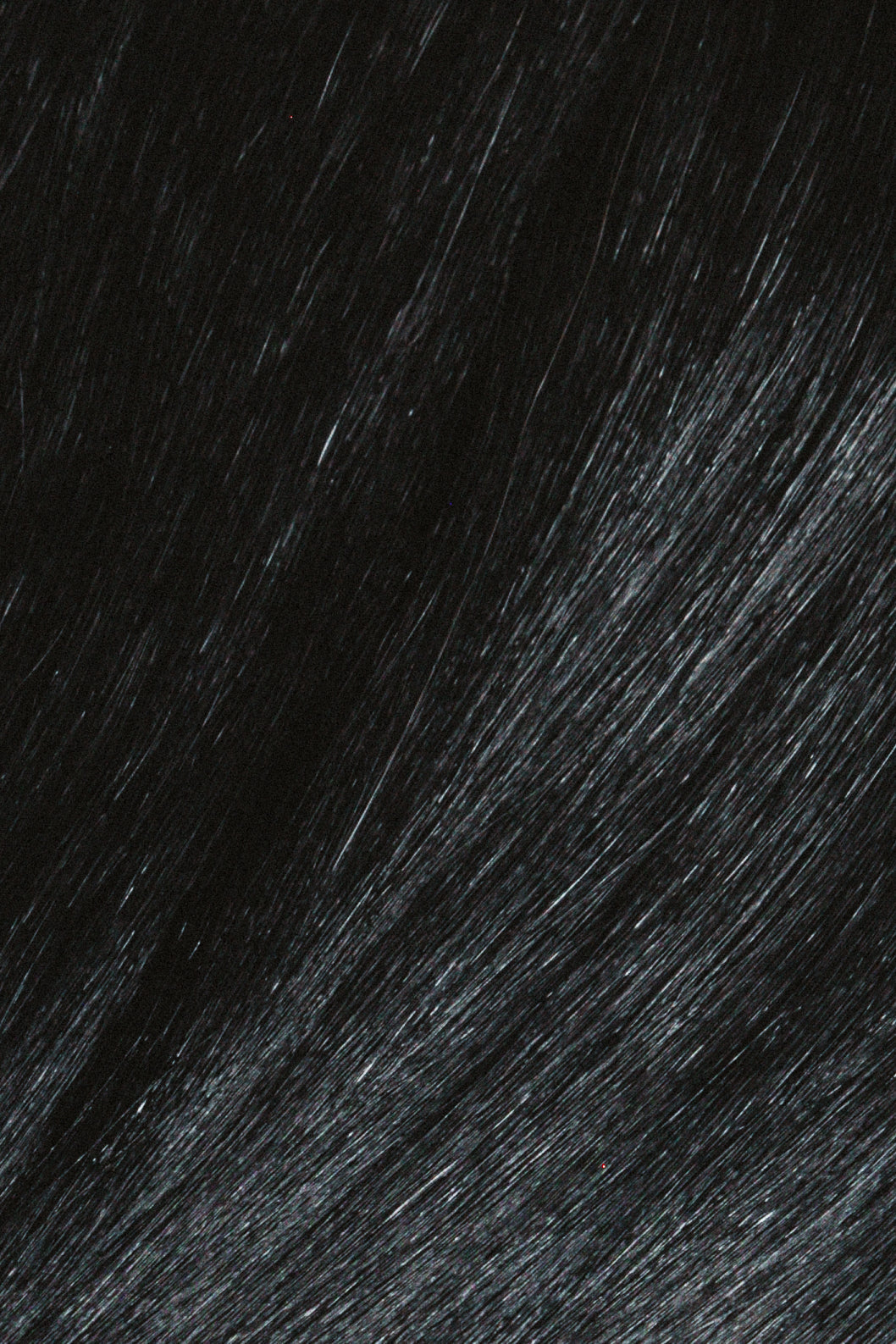 Niecy's Butterfly Wefts